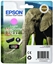 Picture of Epson Elephant Singlepack Light Magenta 24XL Claria Photo HD Ink