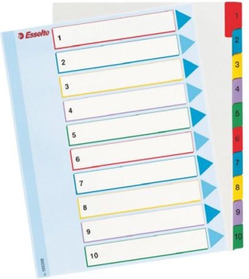 Изображение Esselte Przekadki do segregatora A4 Mylar ze stron opisow (10K200A)