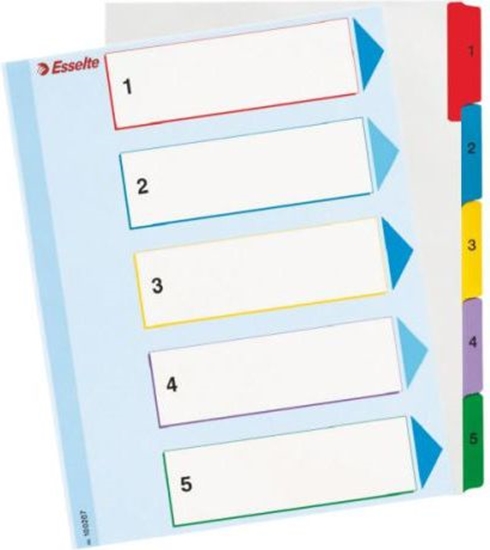 Picture of Esselte Przekadki do segregatora A4 Mylar ze stron opisow (10K200D)