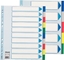 Изображение Esselte Przekadki do segregatora A4 PP Maxi 10 kart (10K396B)