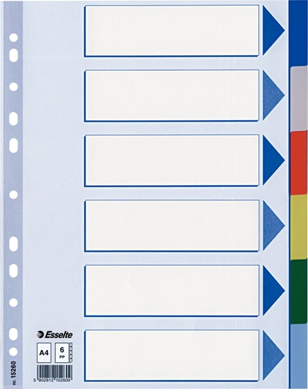 Picture of Esselte PRZEKADKI PLASTIKOWE 6 KARTEK PP A4 KOLOROWE