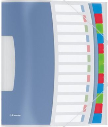 Picture of Esselte Teczka segregujca VIIVDA 6 Przekadek (624029)