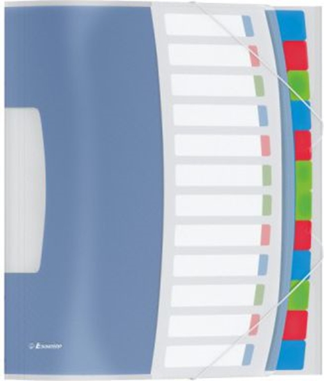 Picture of Esselte Teczka segregujca VIVIDA 12 przekladek (624030)