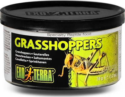 Attēls no Exo Terra Pokarm w puszce - konik polny, 34g