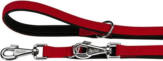 Picture of Ferplast DAYTONA SMYCZ REG.20/200 CZERWONA