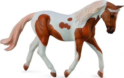 Picture of Figurka Collecta *KO PINTO MARE PALOMINO