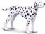 Picture of Figurka Collecta *PIES DALMATYCZYK (M)