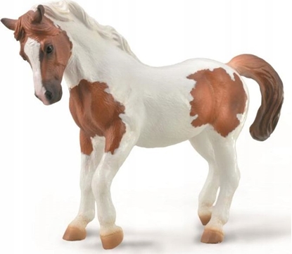 Attēls no Figurka Collecta COLLECTA CHINCOTEAGUE PONY MACI KASZTANOWATEJ PINTO