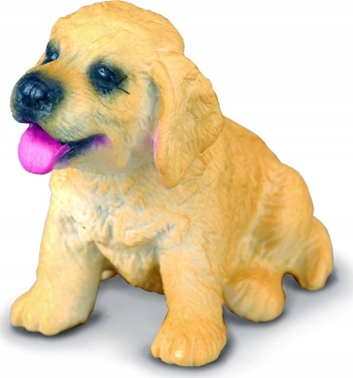 Изображение Figurka Collecta COLLECTA PIES RASY GOLDEN RETRIEVER SZCZENIAK