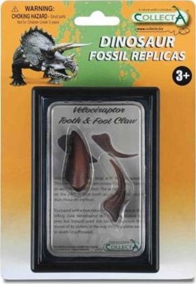 Picture of Figurka Collecta COLLECTA ZB I PAZUR KOCZYNY DOLNEJ VELOCIRAPTORA W OPAKOWANIU