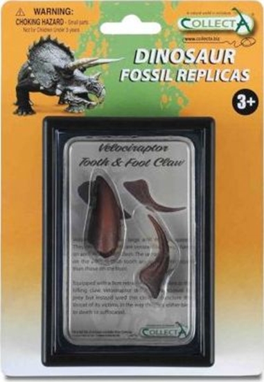 Picture of Figurka Collecta COLLECTA ZB I PAZUR KOCZYNY DOLNEJ VELOCIRAPTORA W OPAKOWANIU