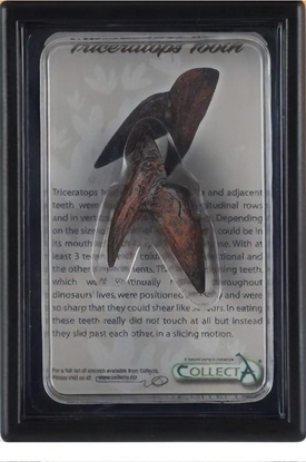 Изображение Figurka Collecta COLLECTA ZB TRICERATOPSA W OPAKOWANIU