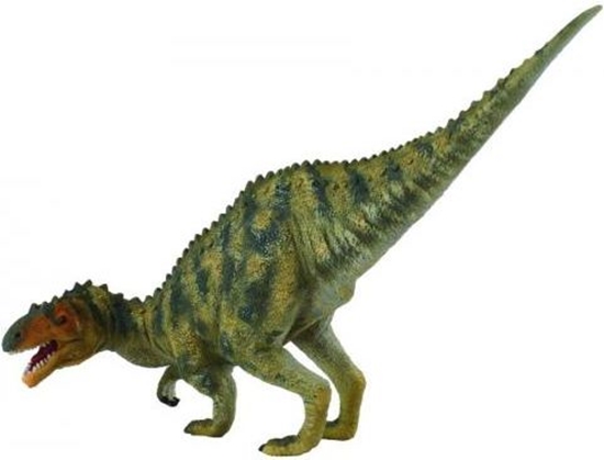 Picture of Figurka Collecta Dinozaur Afrowenator (004-88427)