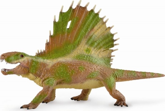 Изображение Figurka Collecta Dinozaur Dimetrodon (004-88822)