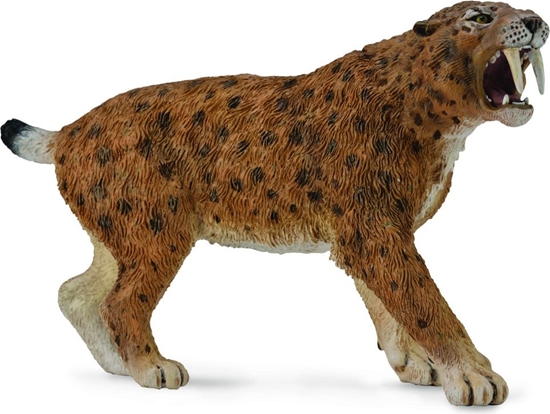 Picture of Figurka Collecta Dinozaur Smilodon (004-88715)