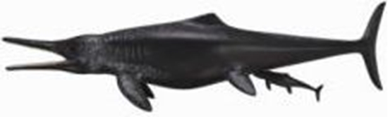 Изображение Figurka Collecta Dinozaur Temnodontozaur