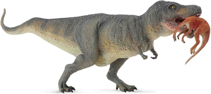 Изображение Figurka Collecta Dinozaur Tyrannosaur Rex (004-88573)