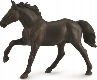 Изображение Figurka Collecta Figurka OGIER NONIUS - CollectA - 88878 - XL