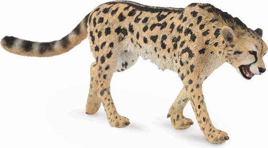 Изображение Figurka Collecta Gepard królewski (004-88608)