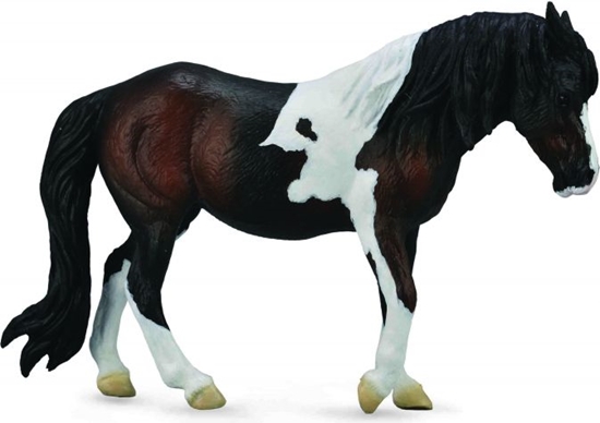Изображение Figurka Collecta Klacz Dartmoor Hill Mare (88711)