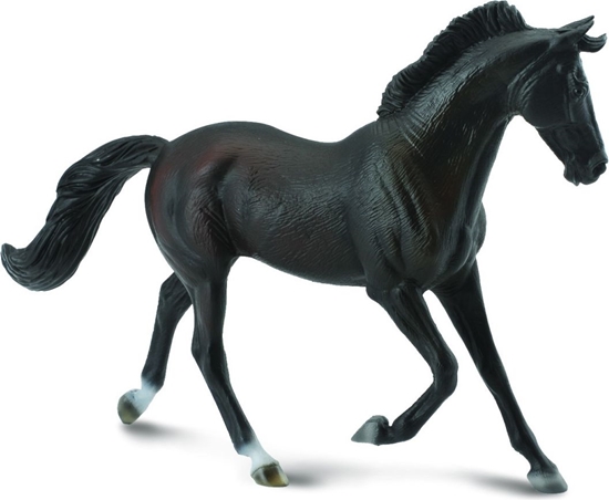 Изображение Figurka Collecta Klacz Thoroughbred maci czarnej (004-88478)