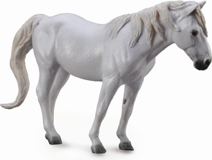 Изображение Figurka Collecta Ko rasy Camargue maci szarej (88749)