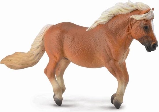 Изображение Figurka Collecta Ko rebi shetland chestnut (88605)