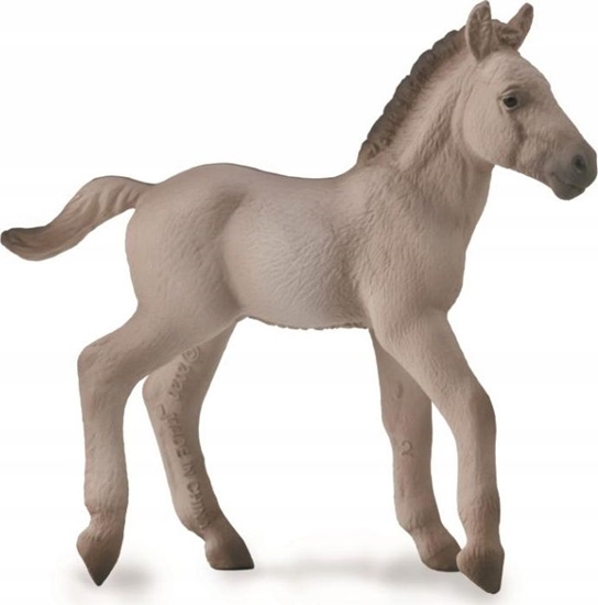 Изображение Figurka Collecta KONIK FOAL  BLUE DUN