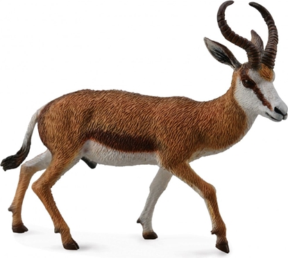 Изображение Figurka Collecta Kozica Springbok (004-88684)