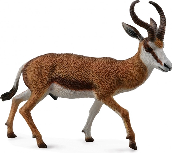 Изображение Figurka Collecta Kozica Springbok (004-88684)