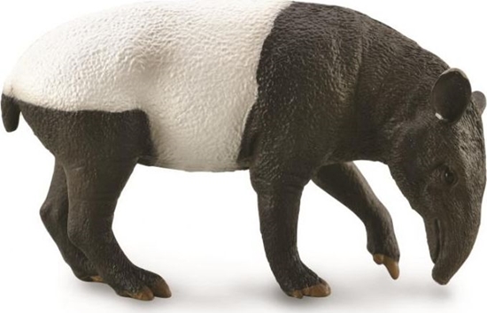 Изображение Figurka Collecta Malayan Tapir