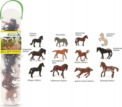 Picture of Figurka Collecta MAE FIGURKI ZESTAW KONIE CollectA - A1109