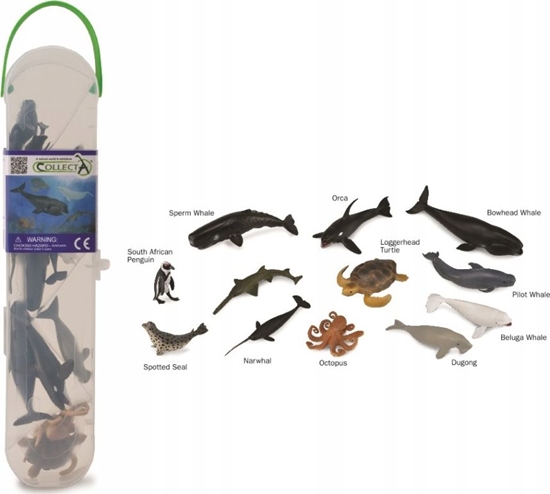 Изображение Figurka Collecta MAE FIGURKI ZESTAW ZWIERZTA MORSKIE 2 CollectA
