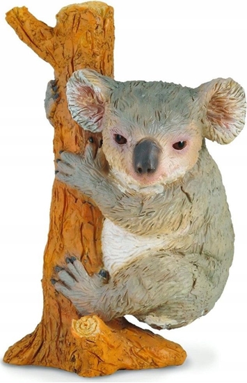 Изображение Figurka Collecta MI KOALA WSPINAJCY SI - CollectA - 88356 - M