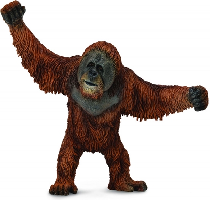Picture of Figurka Collecta Orangutan (004-88730)