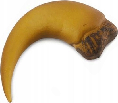 Изображение Figurka Collecta PAZUR BARYONYXA W PUDEKU - CollectA - 89282