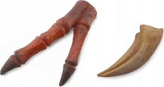 Изображение Figurka Collecta PAZUR I KOCZYNA TYRANOZAURA - CollectA - 89289