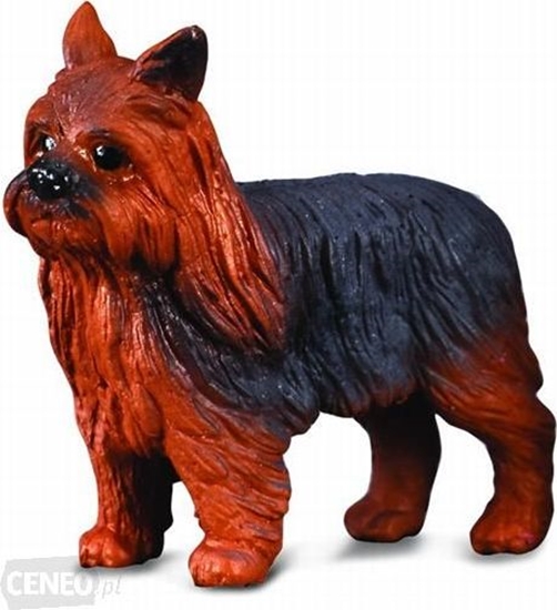 Изображение Figurka Collecta Pies Yorkshire Terier