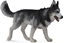 Изображение Figurka Collecta Pies rasy Syberian Husky (004-88707)