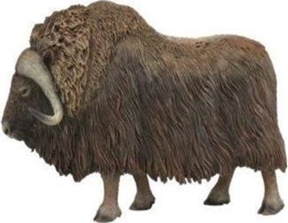 Изображение Figurka Collecta PIMOWÓ ARKTYCZNY