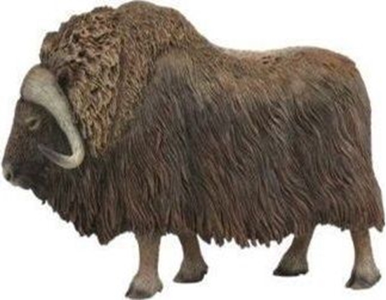 Изображение Figurka Collecta PIMOWÓ ARKTYCZNY