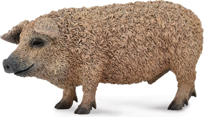 Picture of Figurka Collecta winia Mangalica (004-88674)