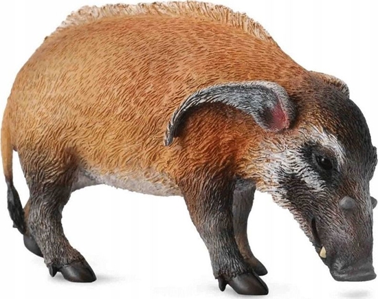 Picture of Figurka Collecta WINIA RZECZNA - CollectA - 88554 - L