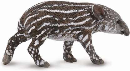 Attēls no Figurka Collecta Tapir - cielę Bairda (004-88597)