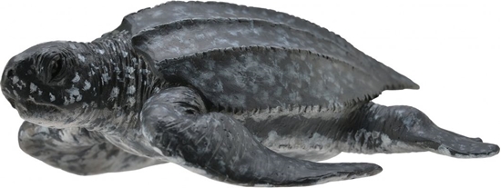 Изображение Figurka Collecta ów skórzasty (004-88680)