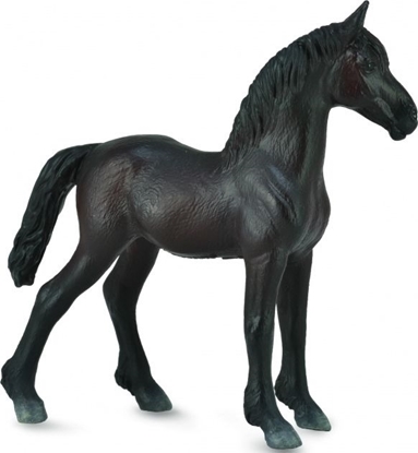 Изображение Figurka Collecta Źrebię Friesian Foal czarne (004-88815)