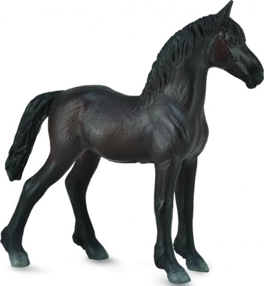 Picture of Figurka Collecta rebi Friesian Foal czarne (004-88815)