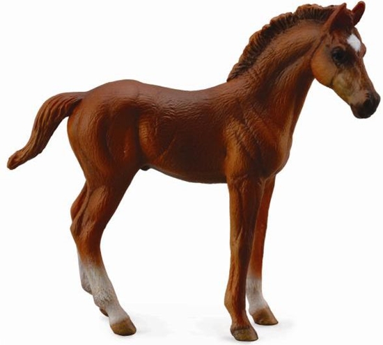 Picture of Figurka Collecta rebi Thoroughbred (88671)