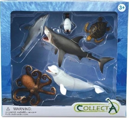 Изображение Figurka Collecta Zwierzęta morskie 6 sztuk 89868 COLLECTA