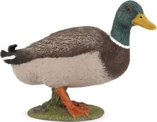 Picture of Figurka Papo Kaczka krzyówka (401255)